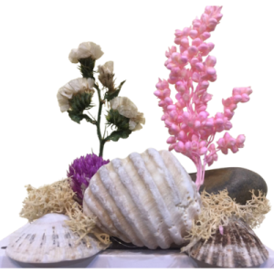 Gifts For Grandma | Seashell And Preserved Flowers